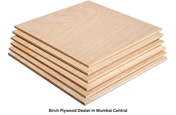 Birch Plywood Dealer In Mumbai Central