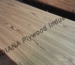 Pre Veneered Plywood Manufacturers In Mumbai Central
