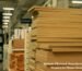 Prelam Plywood Manufacturers and Dealers in Thane Near Me
