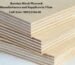 Russian Birch Plywood Manufacturers and Suppliers in Virar