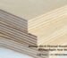 Russian Birch Plywood Manufacturers in Churchgate Near Me