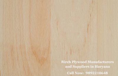 Birch Plywood Manufacturers and Suppliers in Haryana Indiana Plywood Birch Plywood Manufacturers and Suppliers in Haryana