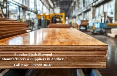 Popular Birch Plywood Manufacturers Suppliers in Andheri