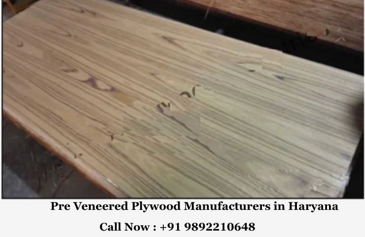 Pre Veneered Plywood Manufacturers in Haryana
