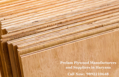 Prelam Plywood Manufacturers and Suppliers in Haryana