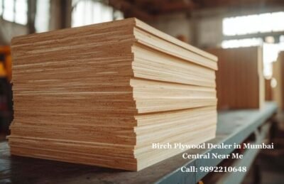 Birch Plywood Dealer in Mumbai Central Near Me