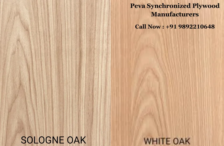 Peva Synchronized Plywood Manufacturers