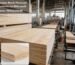 Best Russian Birch Plywood Manufacturers in Bhiwandi