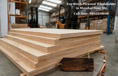 Top Birch Plywood Wholesalers in Mumbai Near Me