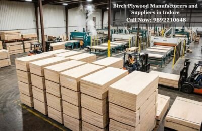 Birch Plywood Manufacturers and Suppliers in Indore
