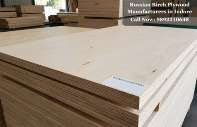 Russian Birch Plywood Manufacturers in Indore