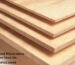Top Birch Plywood Wholesalers in Bangalore Near Me