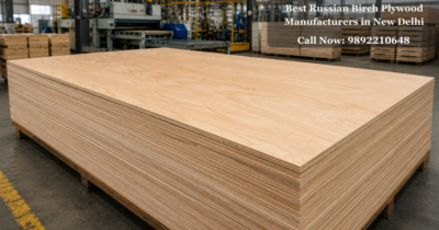 Best Russian Birch Plywood Manufacturers in New Delhi