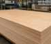 Best Russian Birch Plywood Manufacturers in New Delhi