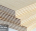 Russian Birch Plywood Manufacturers in New Delhi