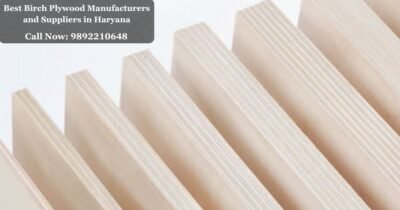 Best Birch Plywood Manufacturers and Suppliers in Haryana