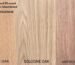 Peva Synchronized Plywood Manufacturers in Ahmedabad
