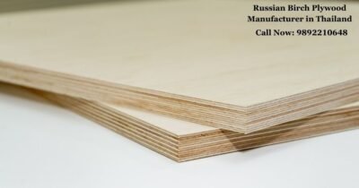 Russian Birch Plywood Manufacturer in Thailand