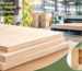 18 mm Birch Plywood Manufacturers in Mumbai